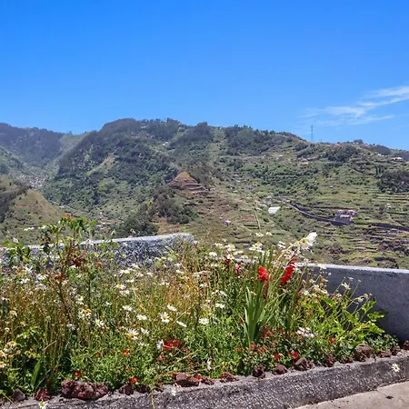 Casas Tipicas Candelaria Tabua 度假居
