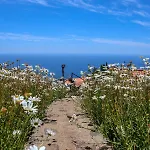 펜션 Casas Tipicas Candelaria Tabua 폰타도솔