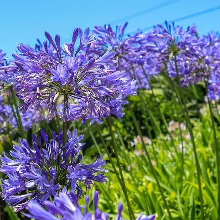 Prázdninový dům Casas Tipicas Candelaria Tabua *